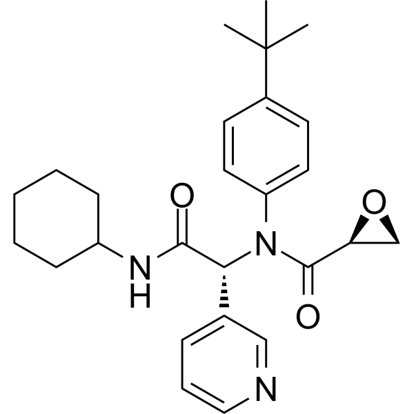 SARS-CoV-2-IN-74